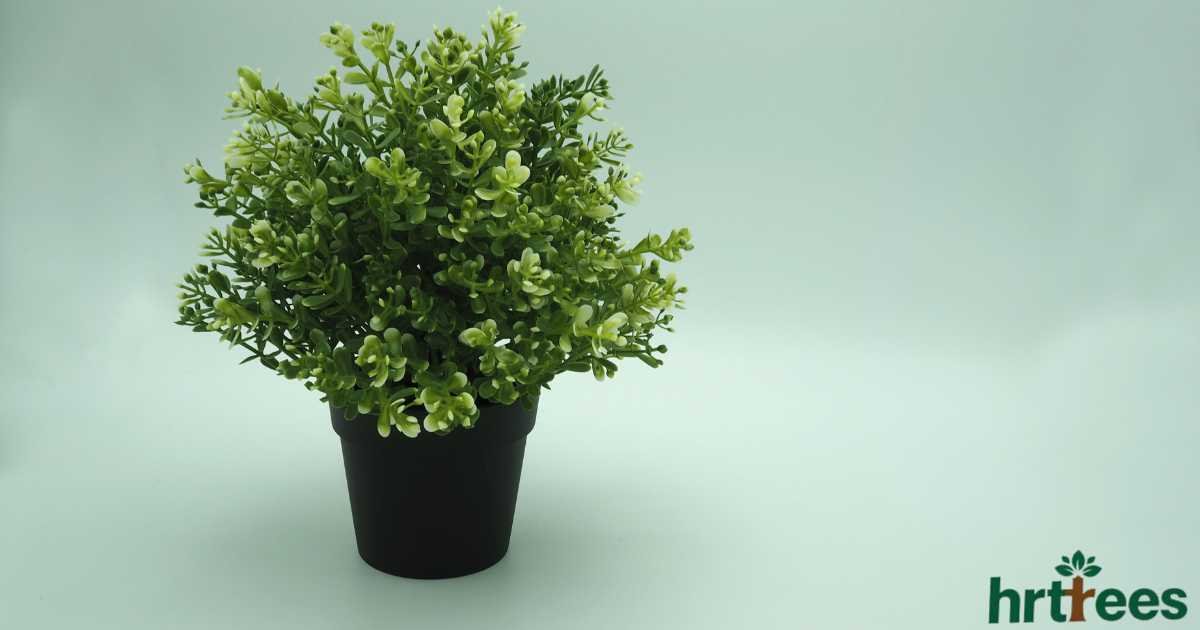 fake plants decor featured image