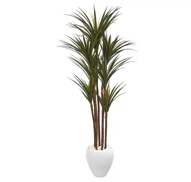 Fake Yucca Tree