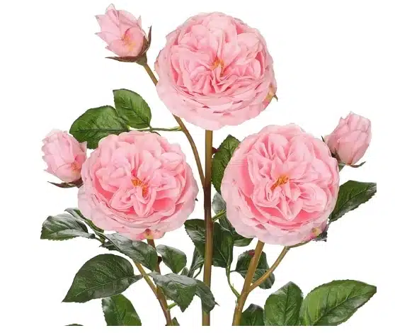 Artificial Roses in “Late-Bloom” Stage