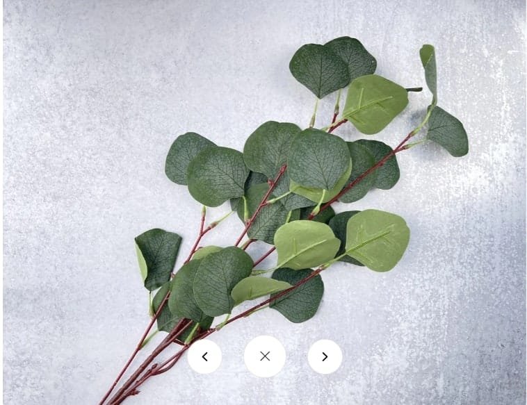 Faux Silver Dollar Eucalyptus