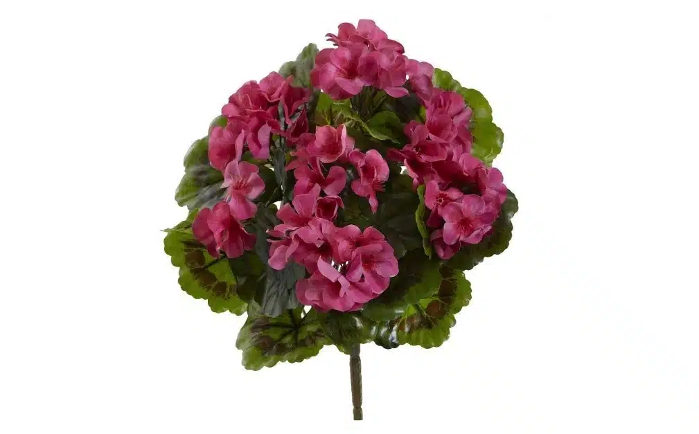 UV-Shielded Artificial Geranium Bushes