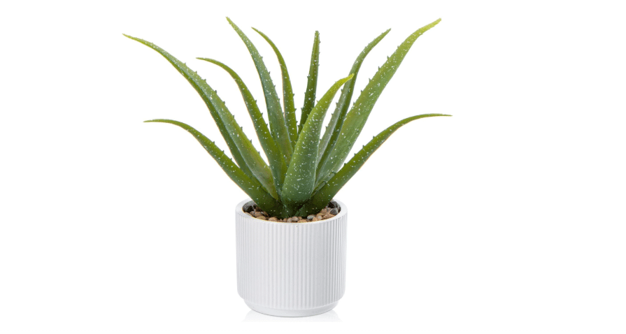 Fake Aloe Succulent Plant