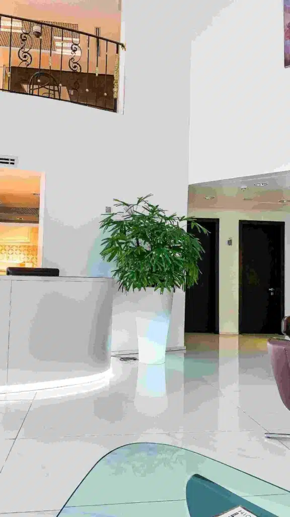 The "Bio-Hacking" of Business Spaces with Commercial Artificial Plants Supplier