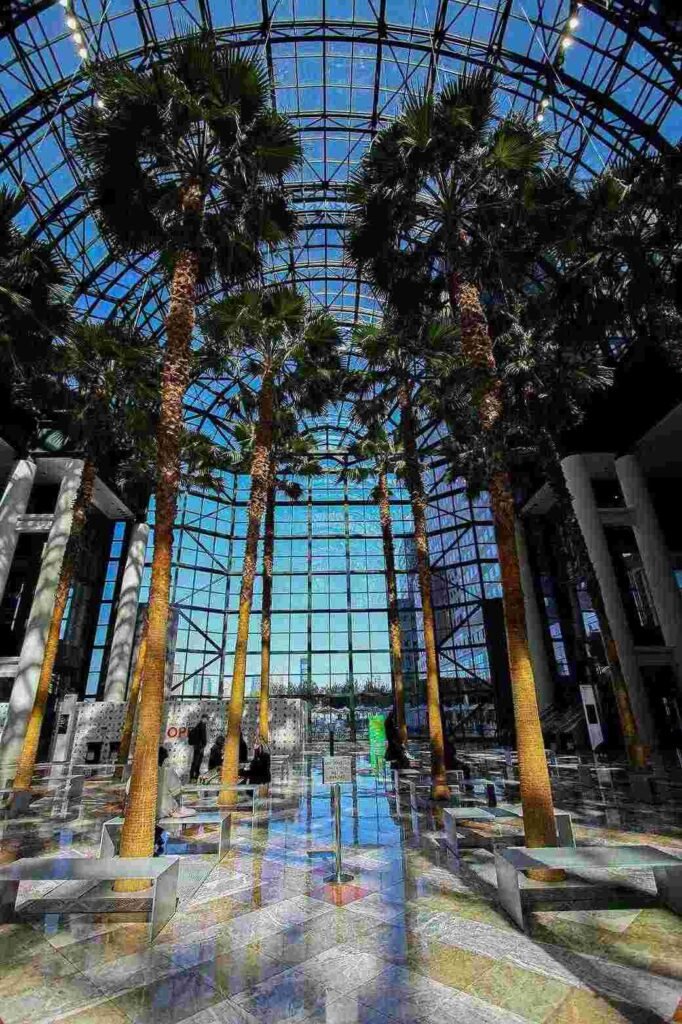 Low Maintenance Artificial Plants for Hotels and Malls