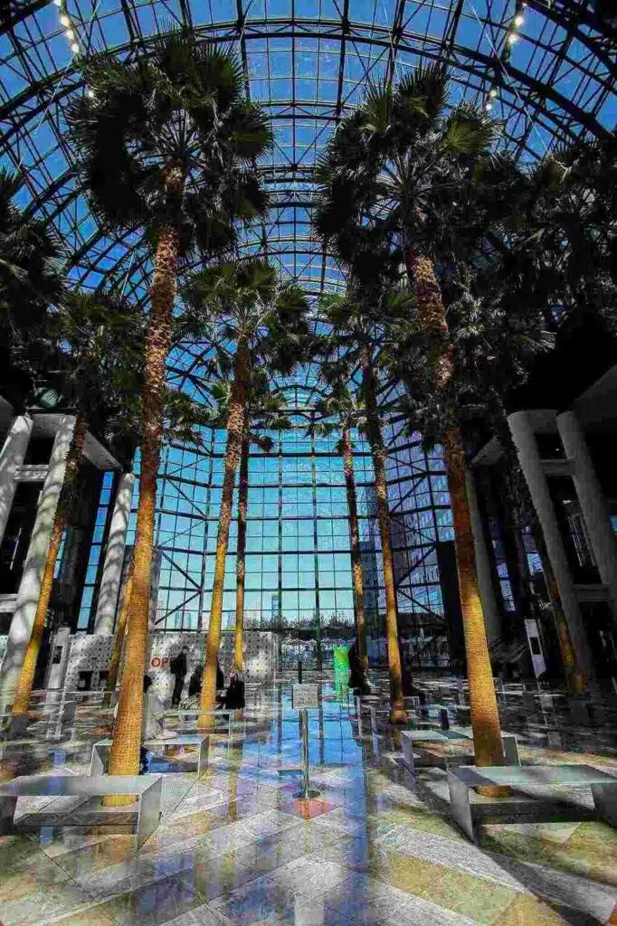 Low Maintenance Artificial Plants for Hotels and Malls