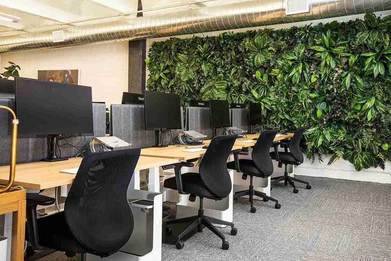 Artificial Green Wall for Commercial office Spaces