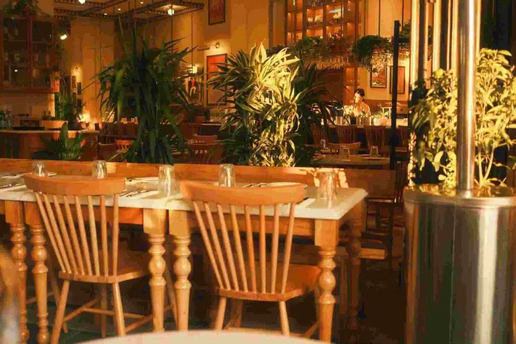 Commercial Artificial Plants in restaurants 