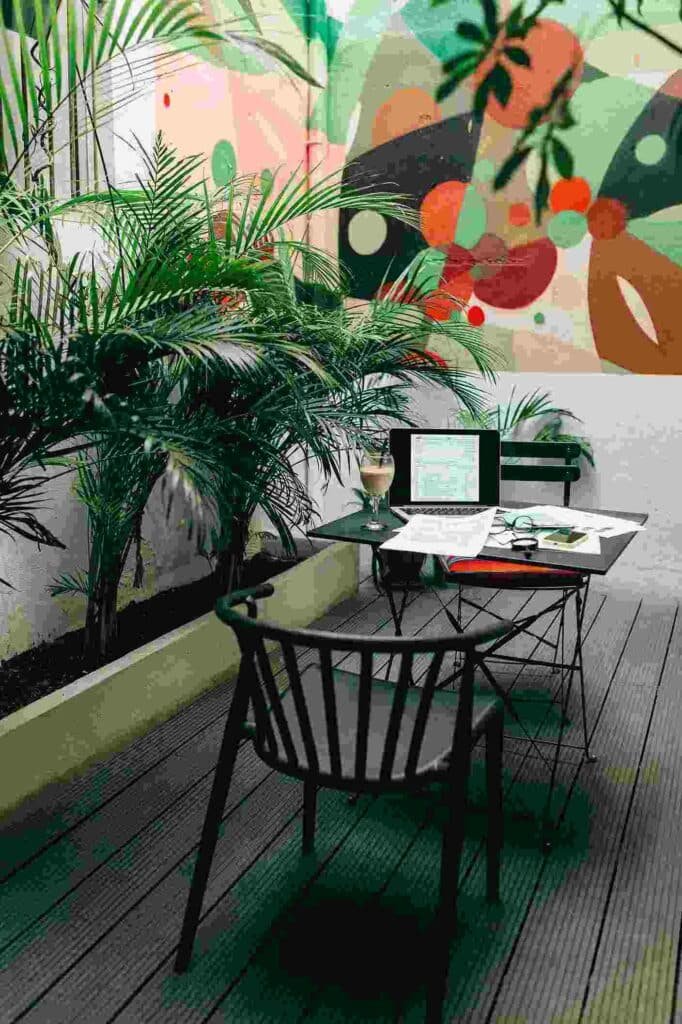 Large plant in Corporate Building