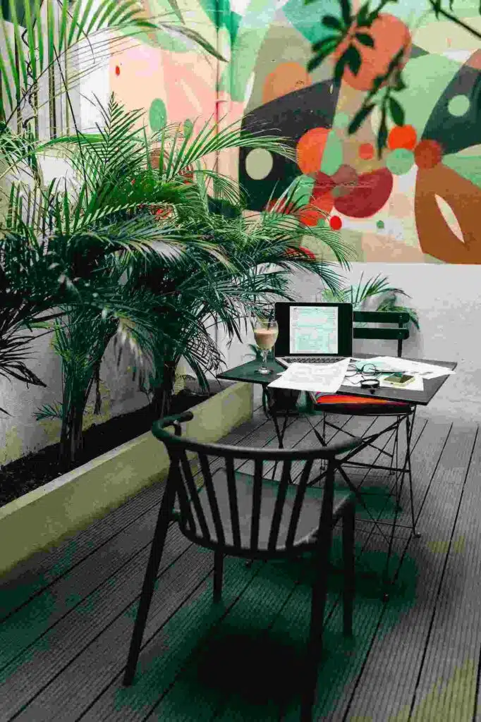 Large plant in Corporate Building