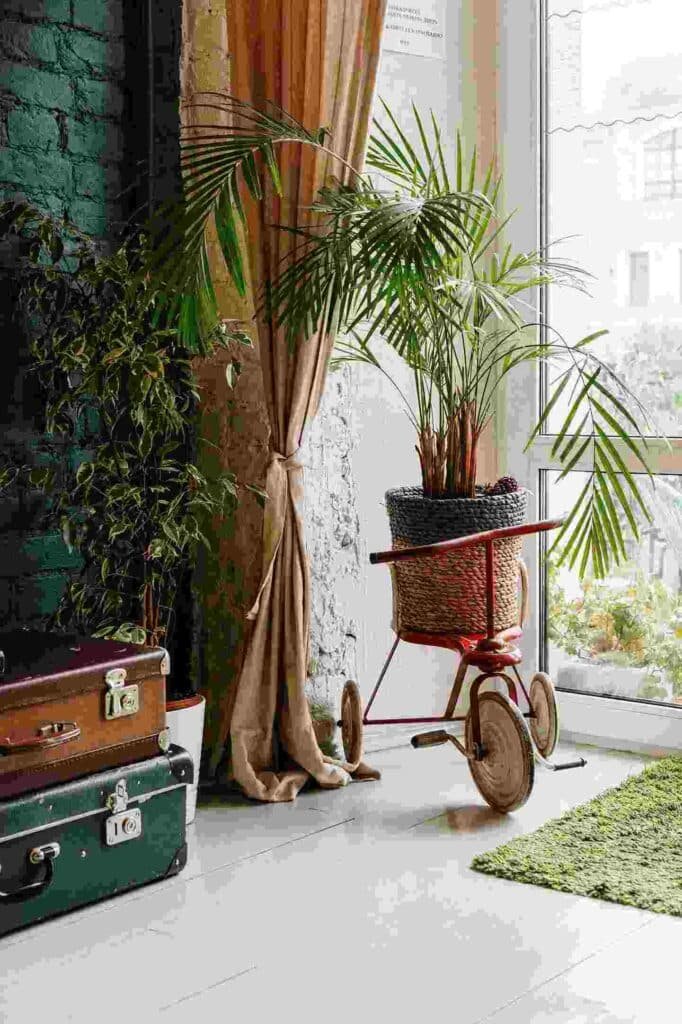 Slim Vertical Plants