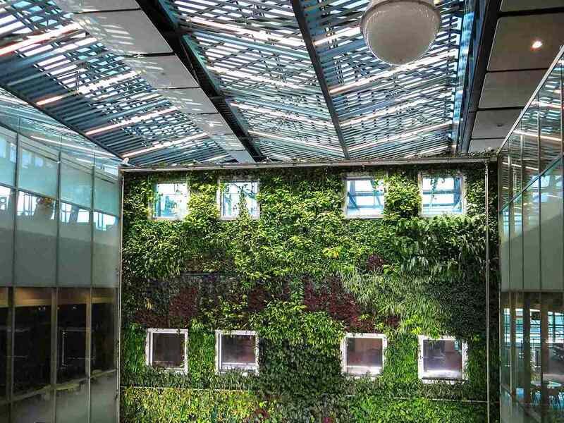 Semi-Outdoor Artificial Green Wall for Commercial Spaces