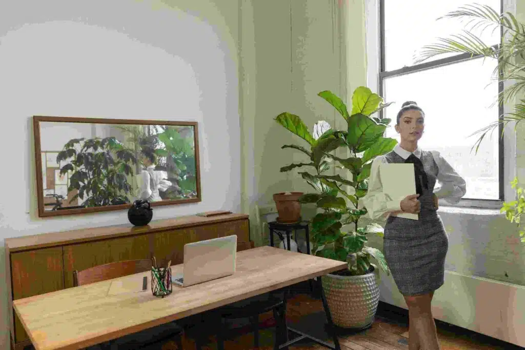 Commercial Artificial Plants Supplier for corporate office