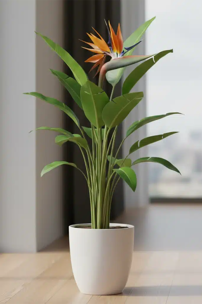 Artificial Bird of Paradise