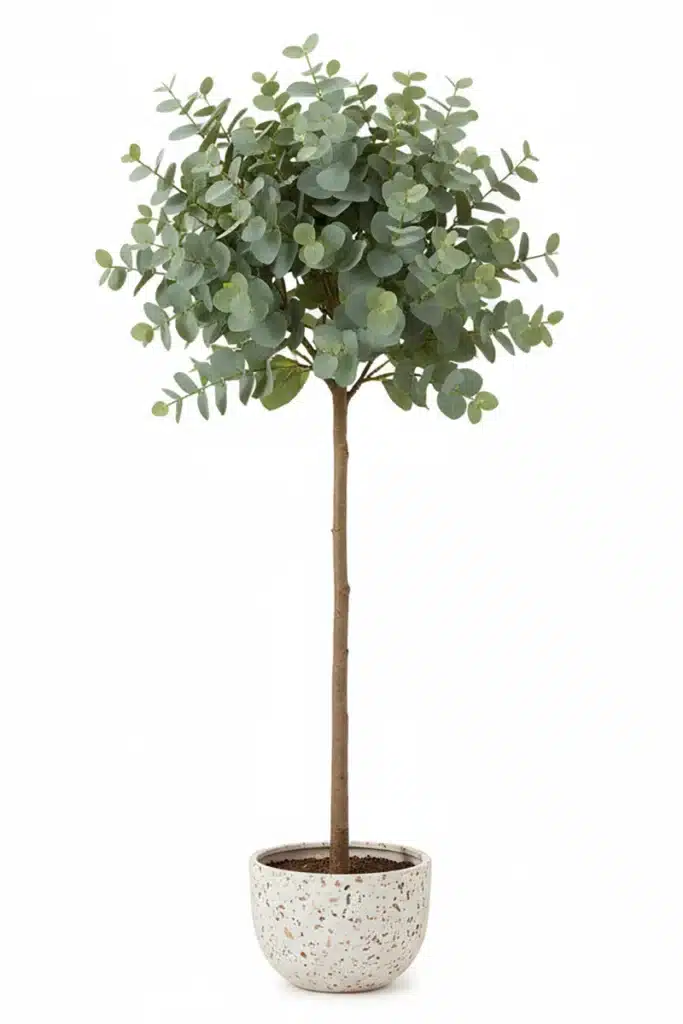 Artificial Eucalyptus Tree