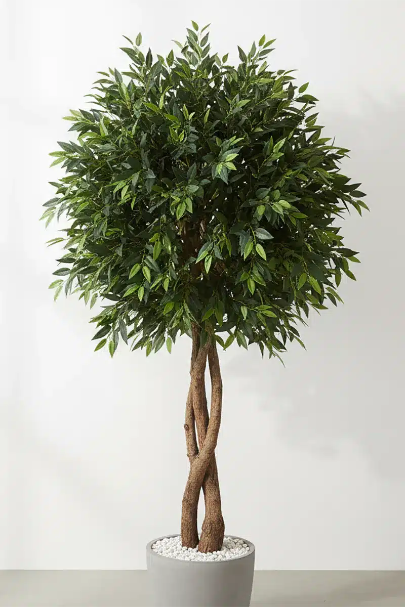 Artificial Ficus Tree