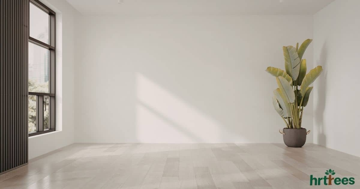 Artificial Floor Plants featured image