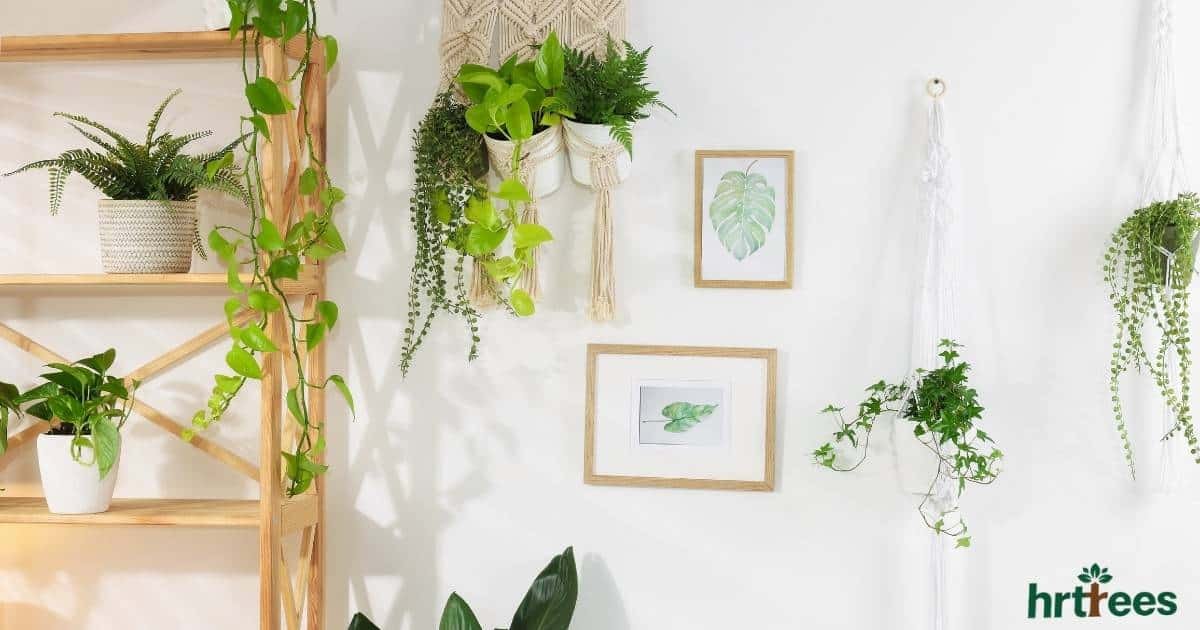 Artificial Hanging Plants featured image