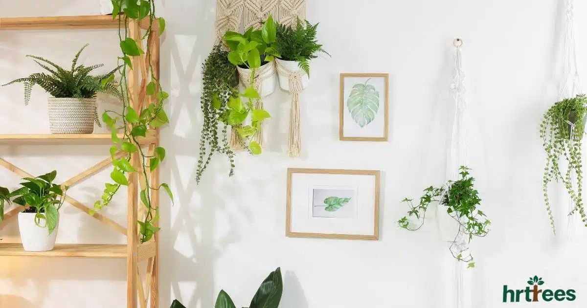 Artificial Hanging Plants featured image