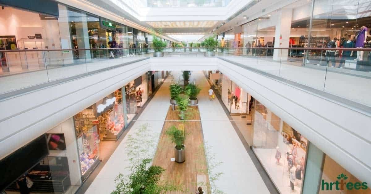 Artificial Plants for Hotels and Malls featured image