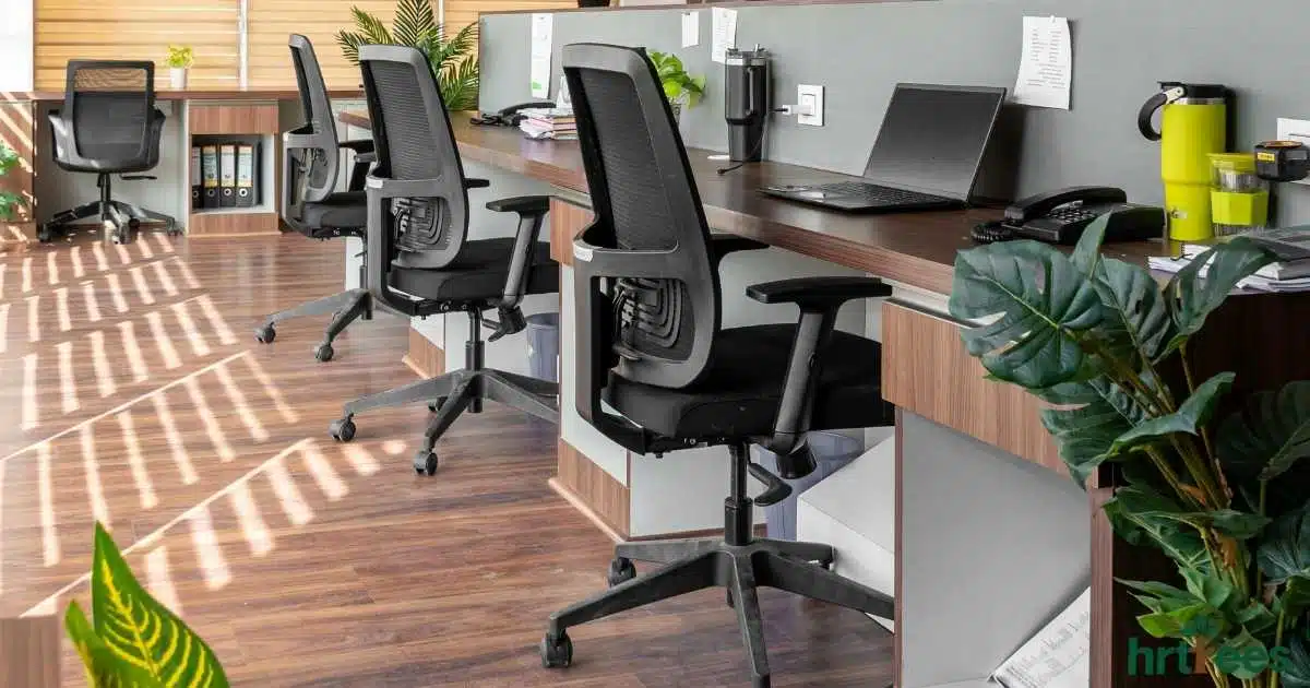 Artificial Plants for Office Decoration featured image