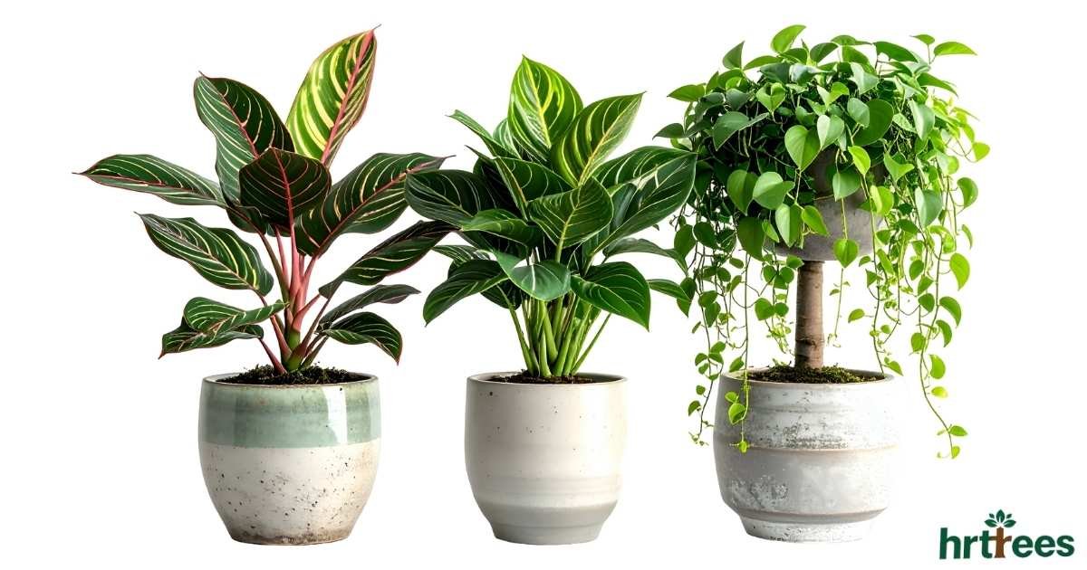 Artificial Potted Plants featured image