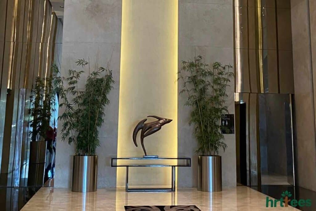 Artificial plant in hotel entryway