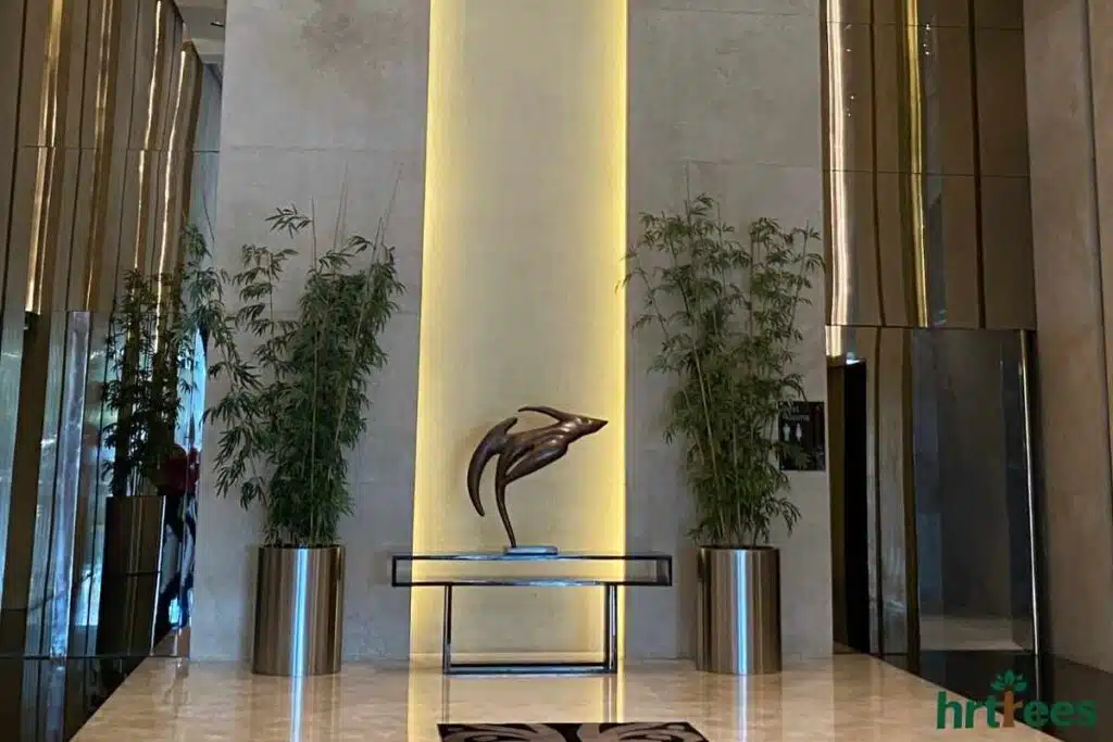Artificial plant in hotel entryway