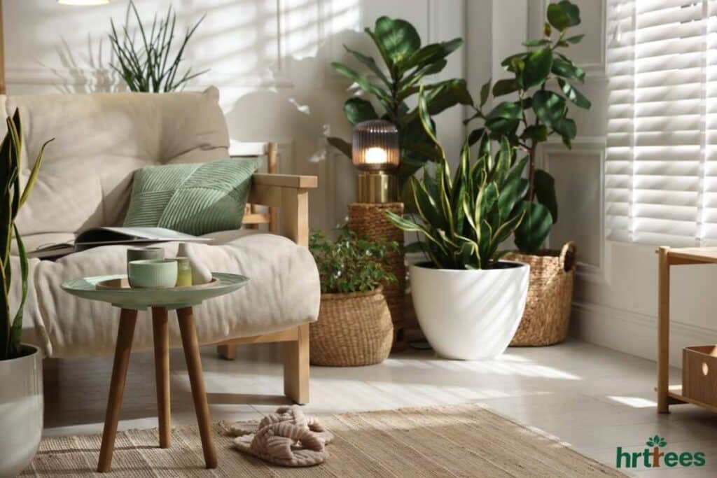 Artificial plant in living room