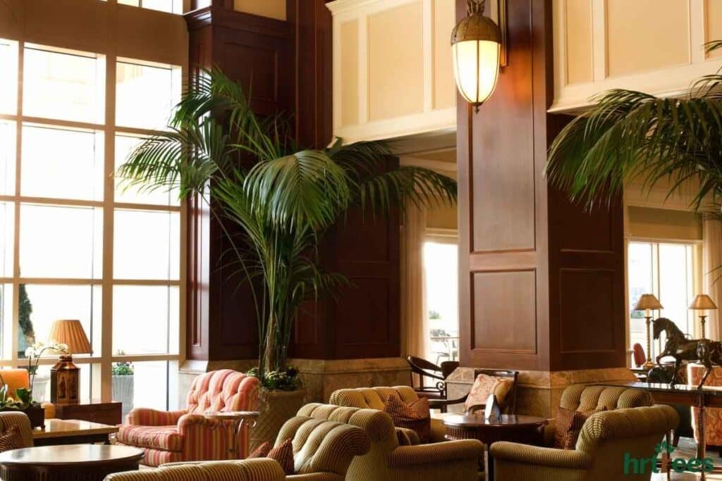 Avoiding the Plastic Jungle effect with large artificial trees for in door commercial use
