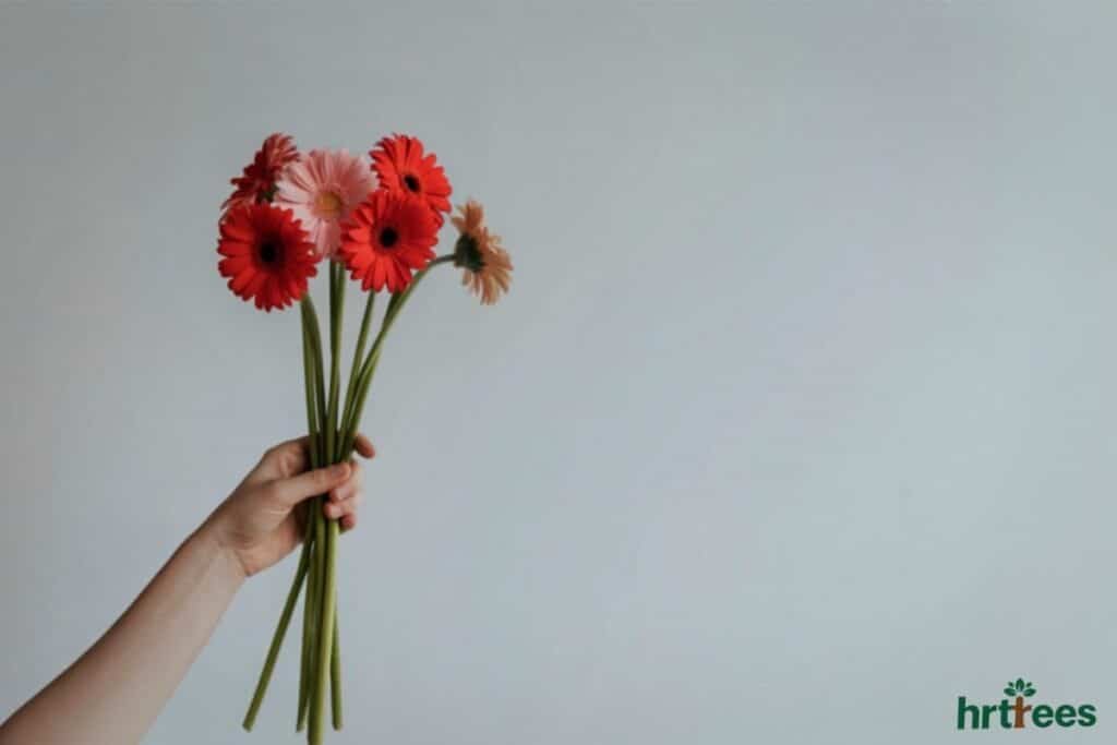Daisey fake flower