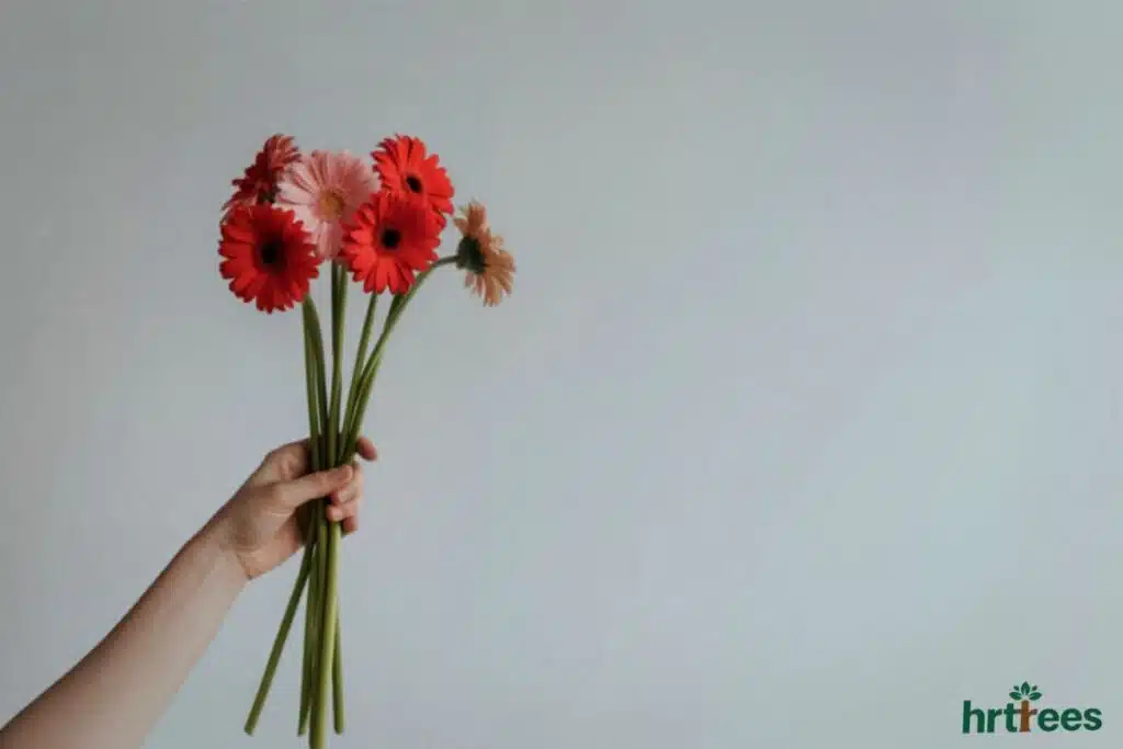 Daisey fake flower