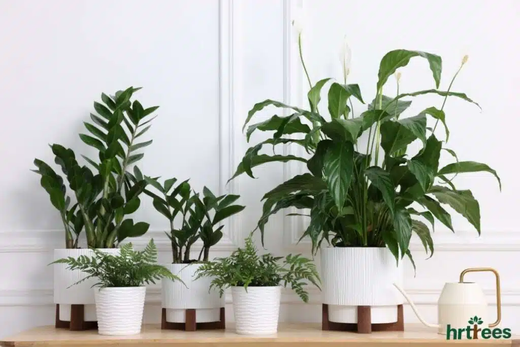 Decorating with Artificial Potted Plants