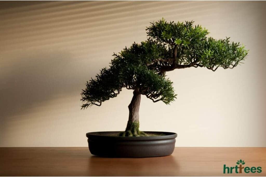 Decorating with Artificial Table Plants Bonsai