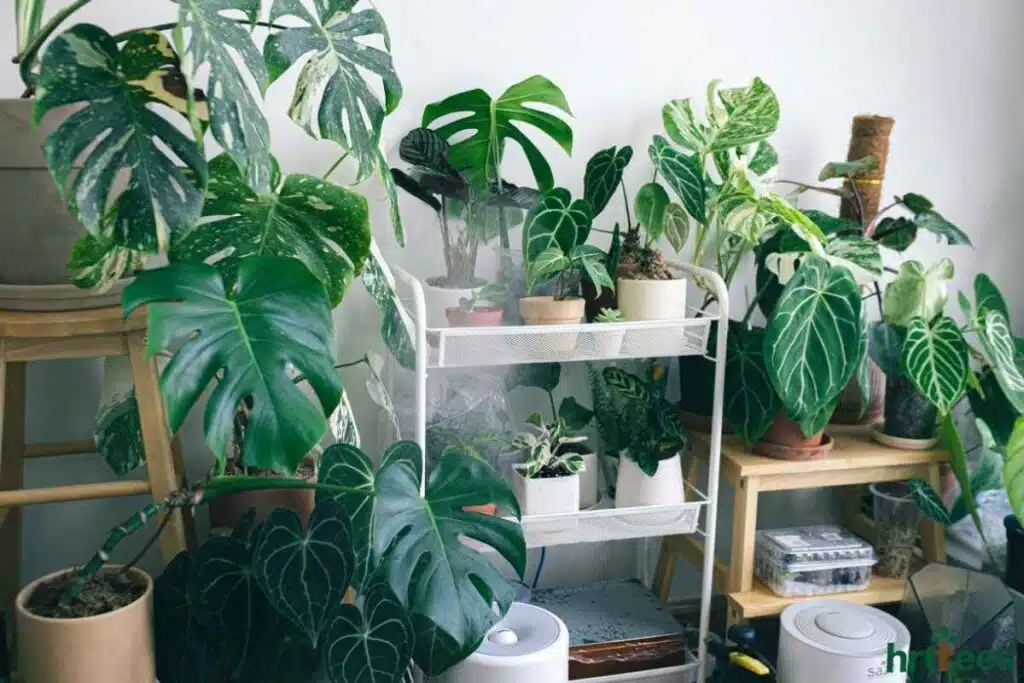 Different sizes & ages of Artificial plants