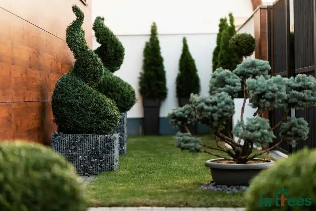 Easy Topiary Designs