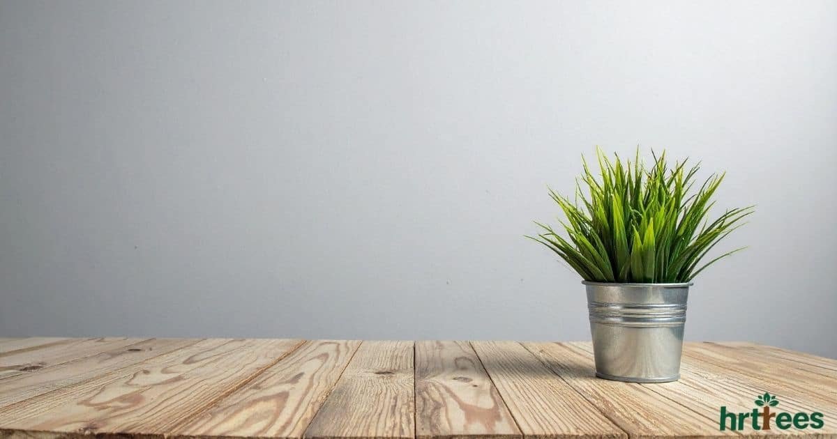 How to Choose Realistic Artificial Plants featured image