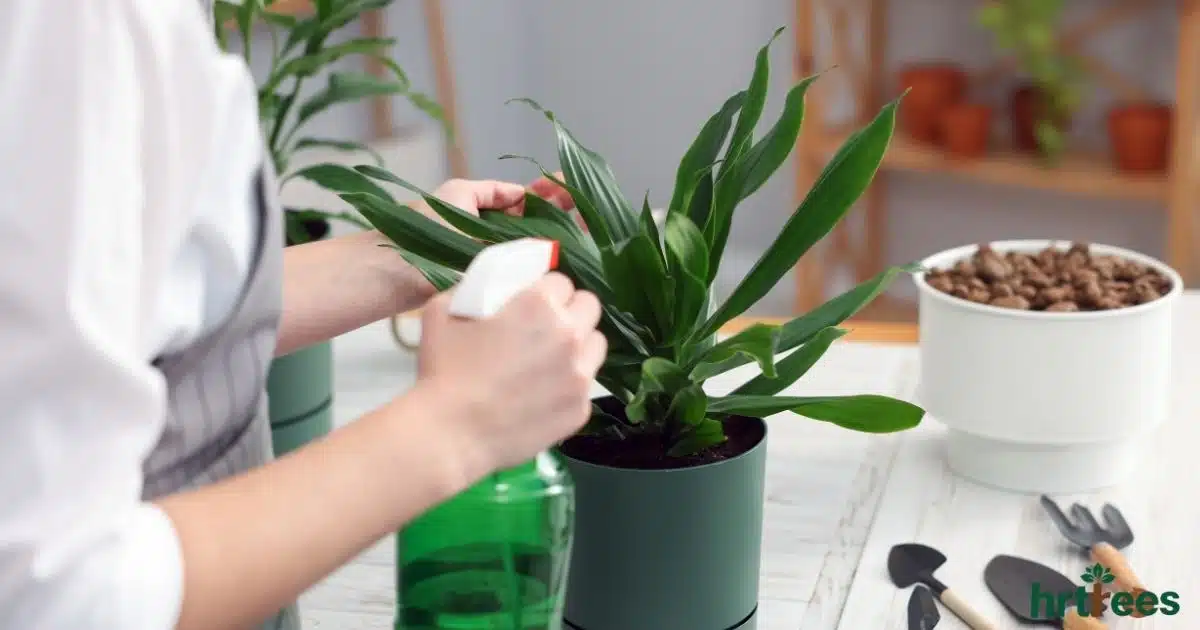 How to Clean and Maintain Artificial Plants featured image
