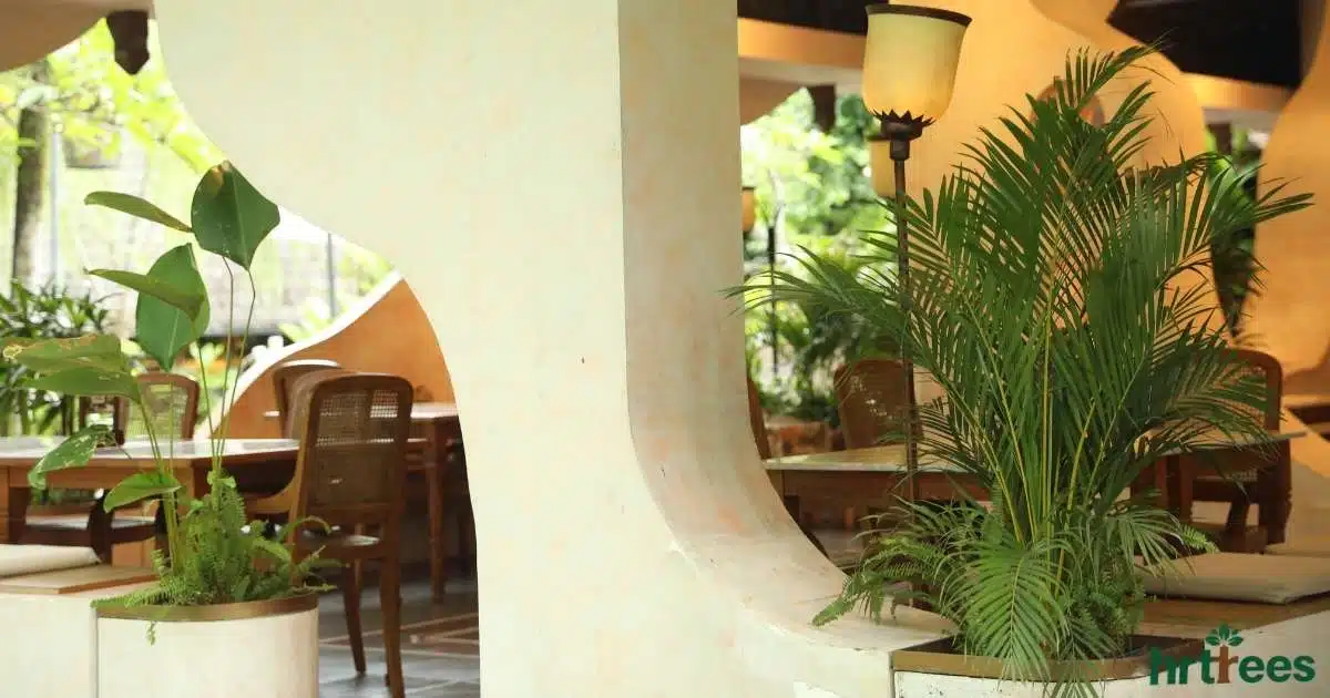 Large Artificial Plants for Commercial Projects featured image