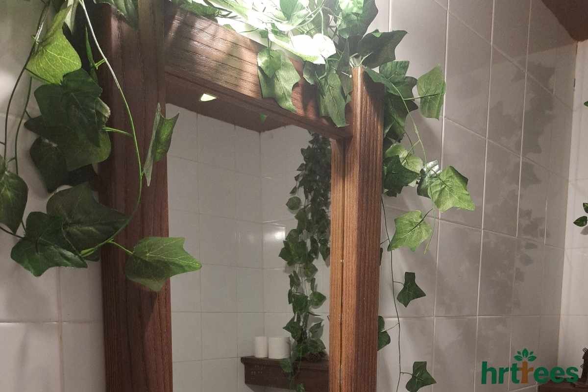 Mirror frame decor with Delicate Ivy Vines