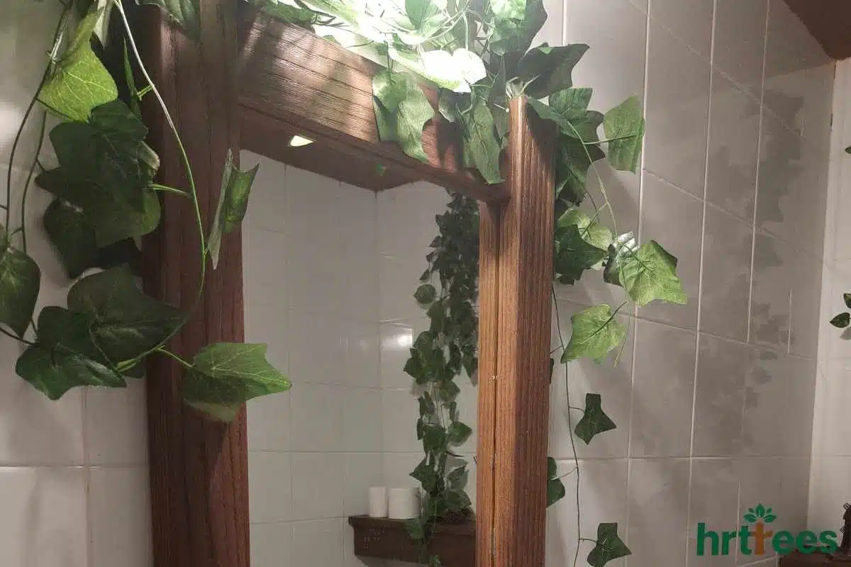 Mirror frame decor with Delicate Ivy Vines