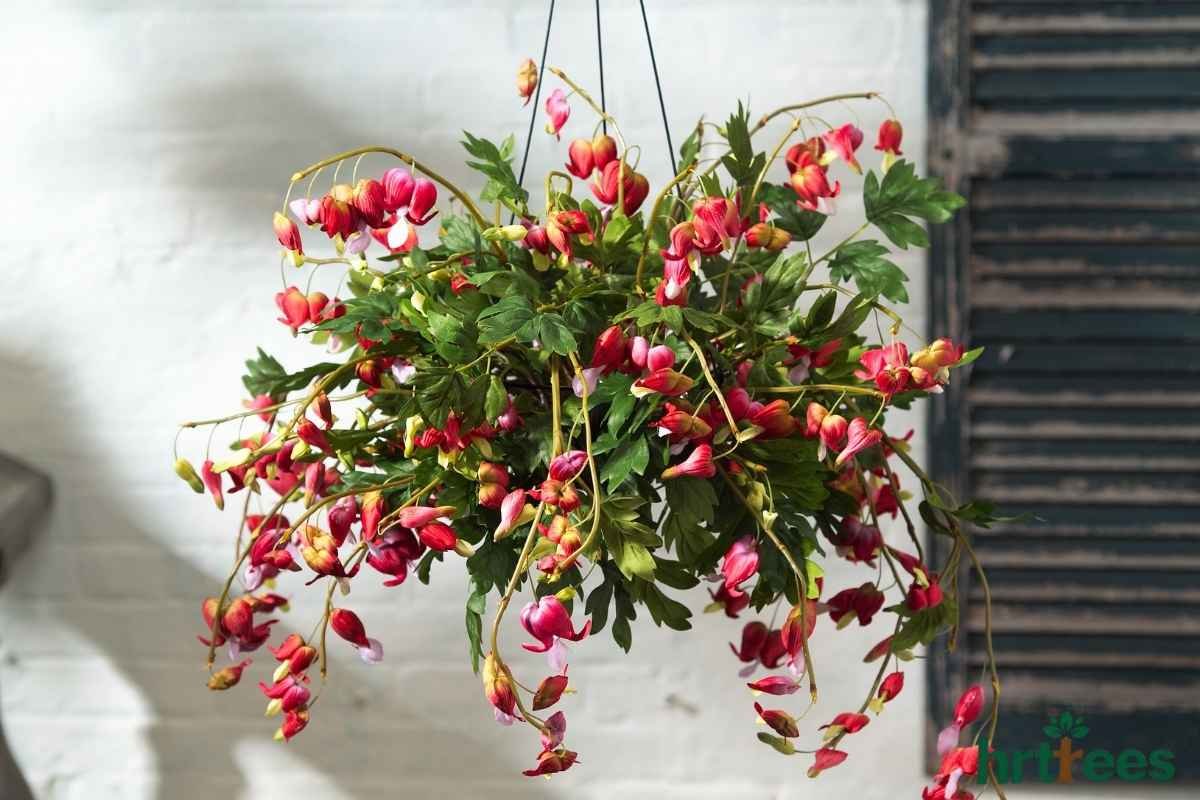 UV-Protected Silk Flowers