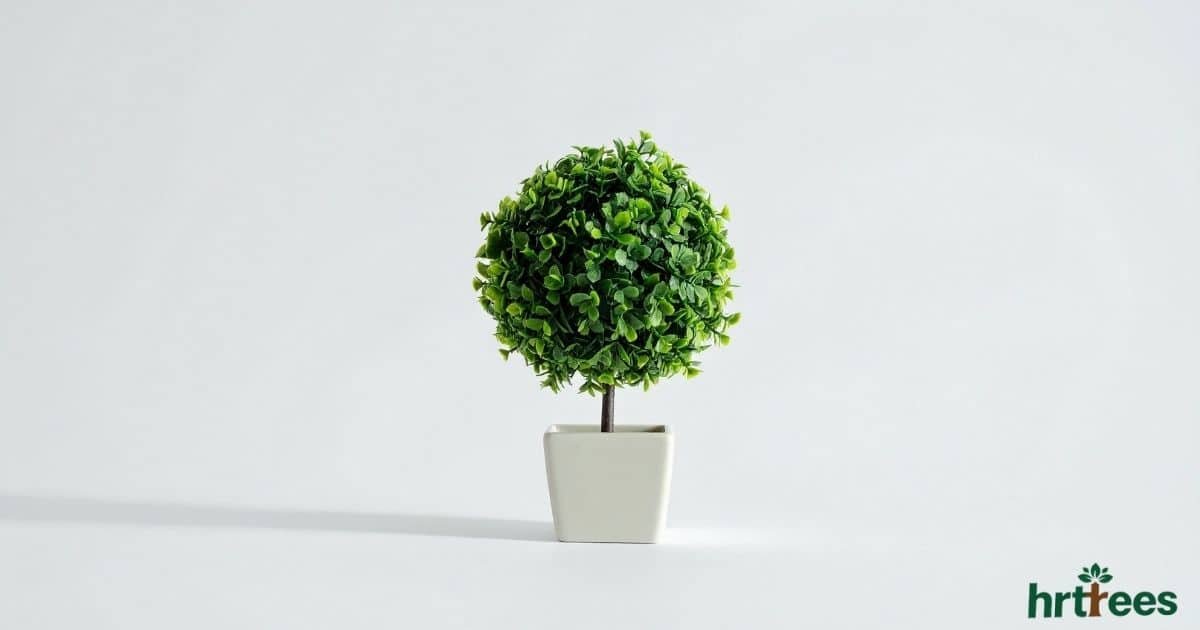What Are Artificial Plants Made Of featured image