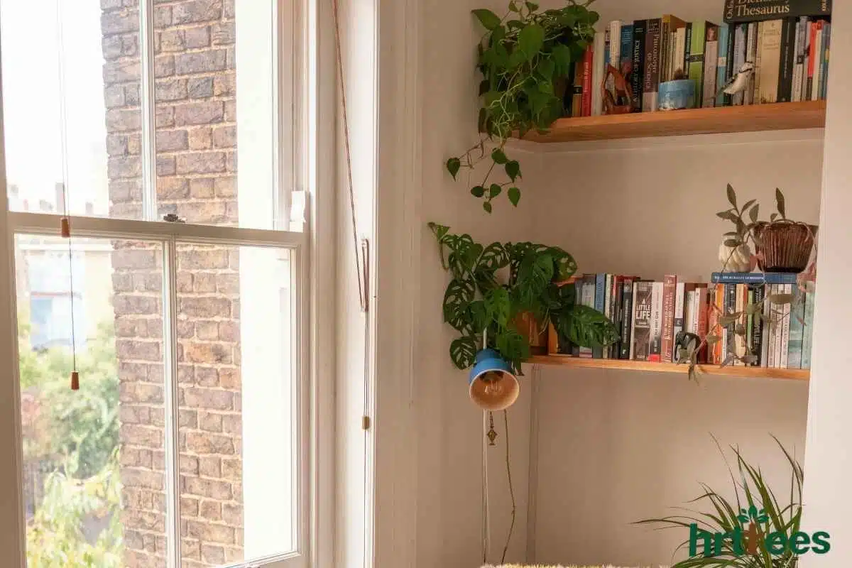 Wrapping Beams or Bookshelves with fake vines