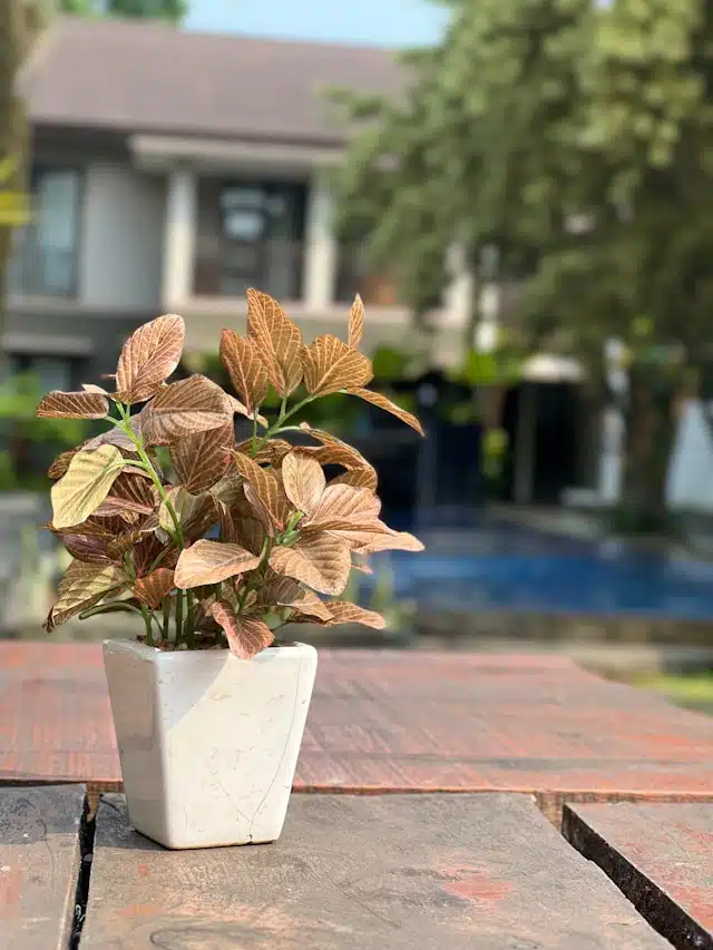 Small fake plant on pot