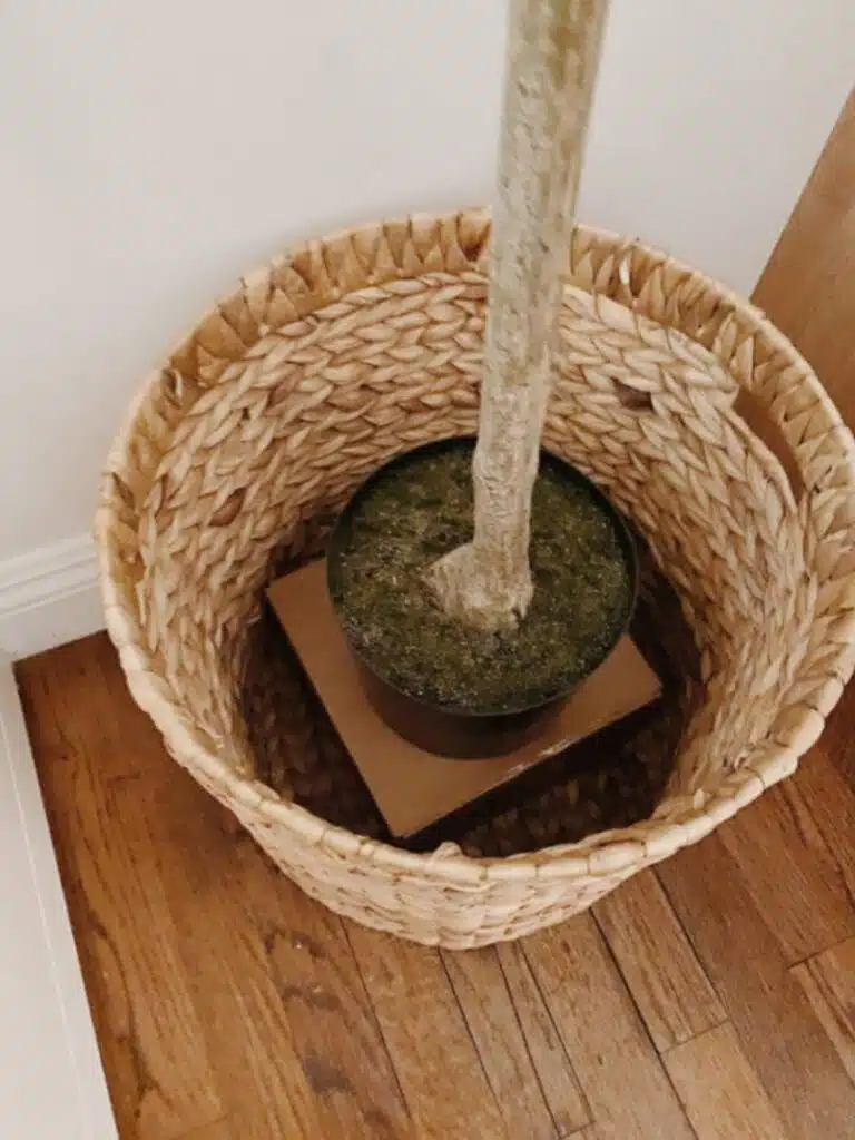Artificial potted Plant Lost Their Realism Over Time