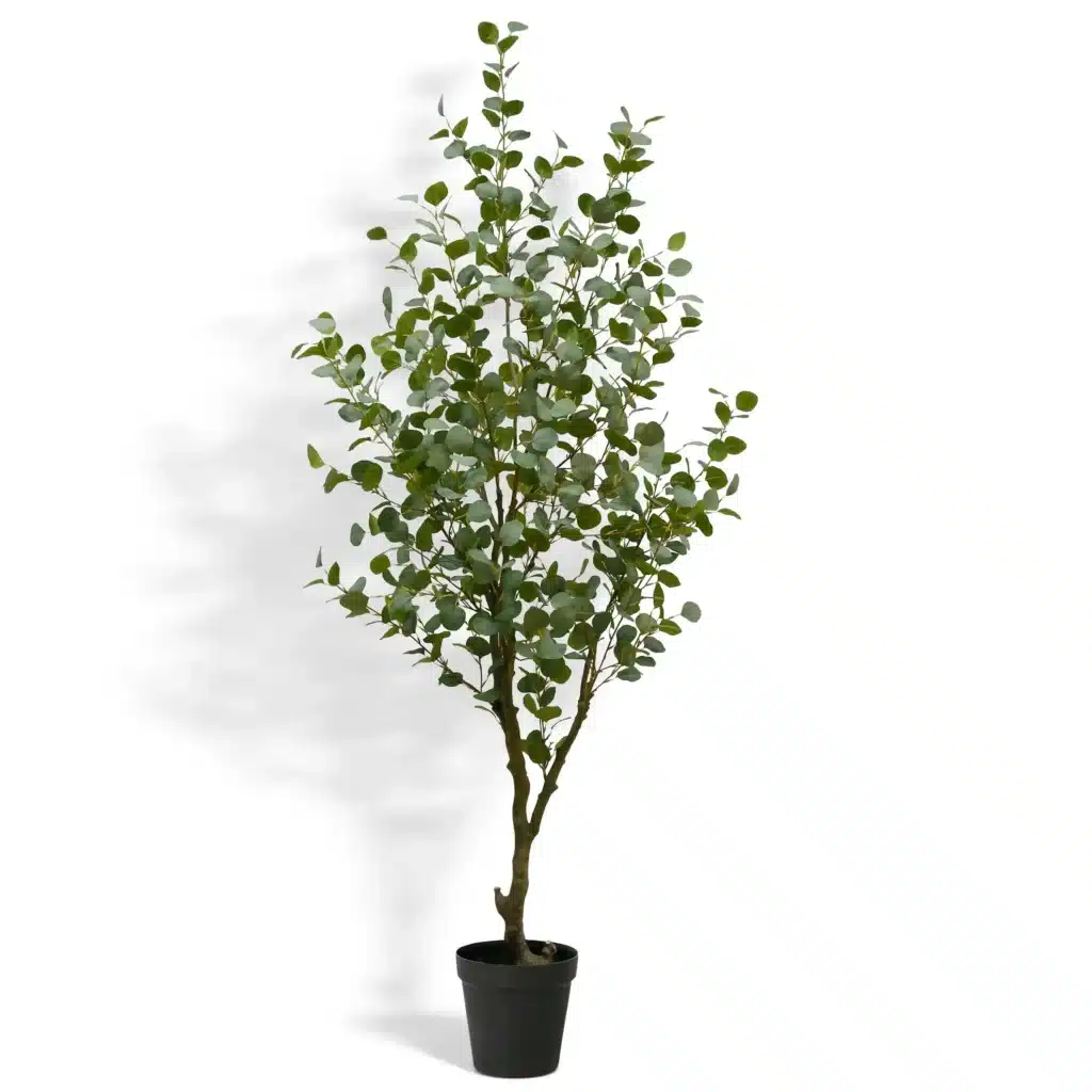 Artificial Eucalyptus Tree