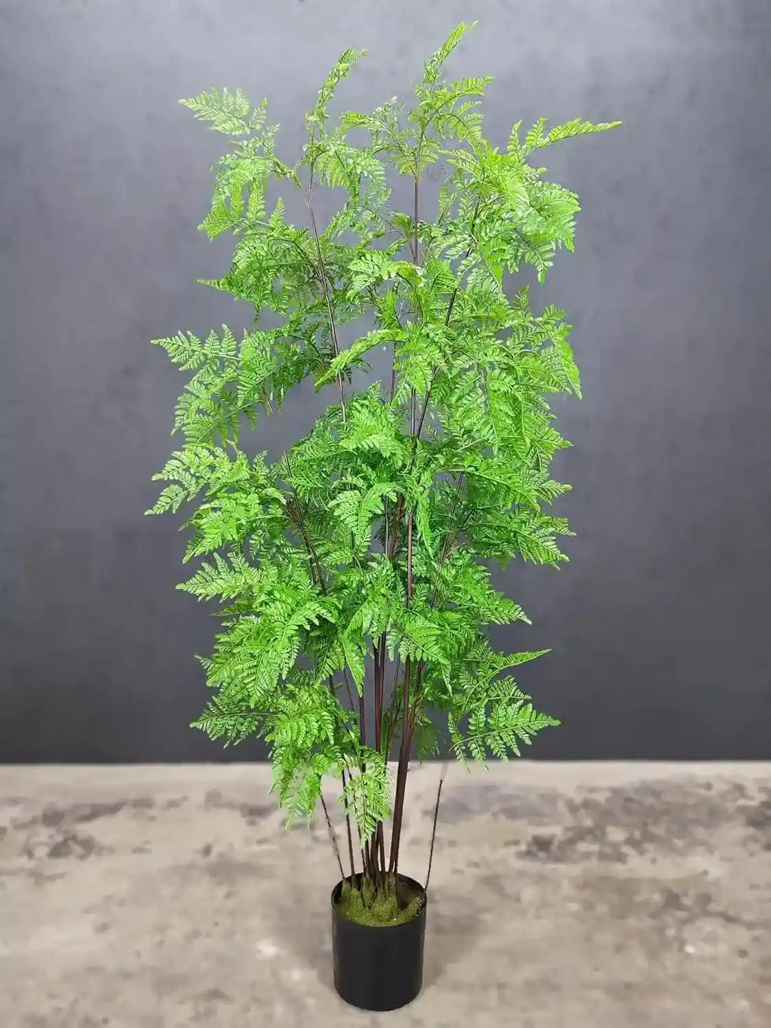 Artificial Fern Tree