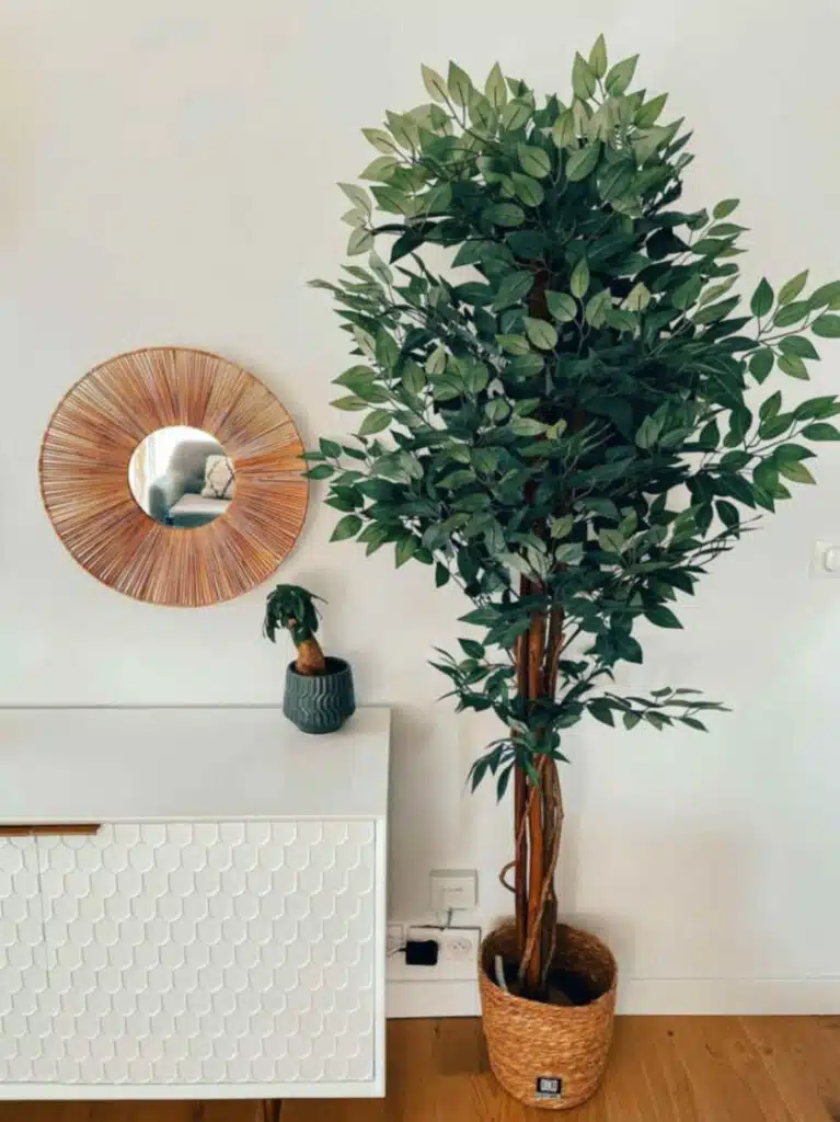 high quality artificial ficus tree in living room
