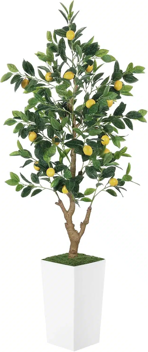 Artificial Lemon Tree