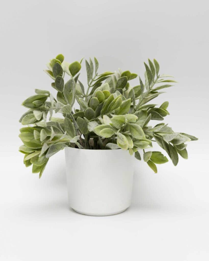 indoor artificial plant